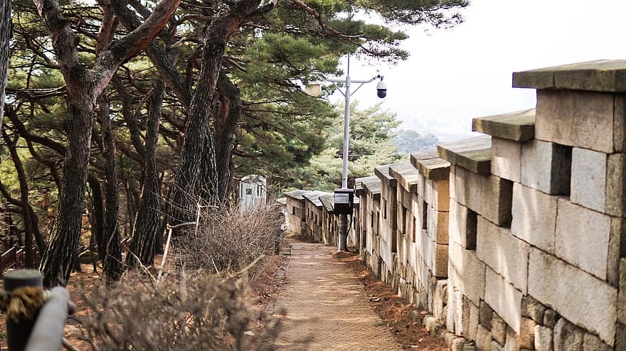 sendero, castillo, Rutas de senderismo, alpinismo, Sukjeongmun, Seúl, Seongbuk-gu, muralla, escape del castillo, Bukaksán, pino