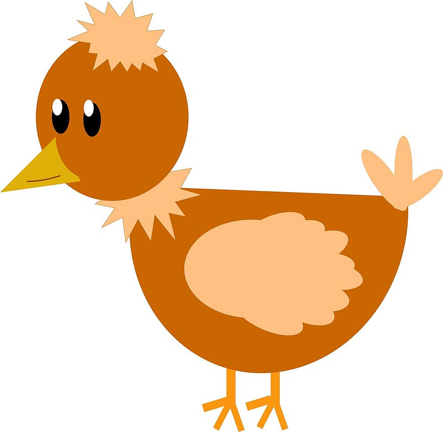 κοτόπουλο, αγρόκτημα, πτέρυγα, καφέ, ζώο, φαγητό, πουλί, πουλερικά, γεωργία, κότα