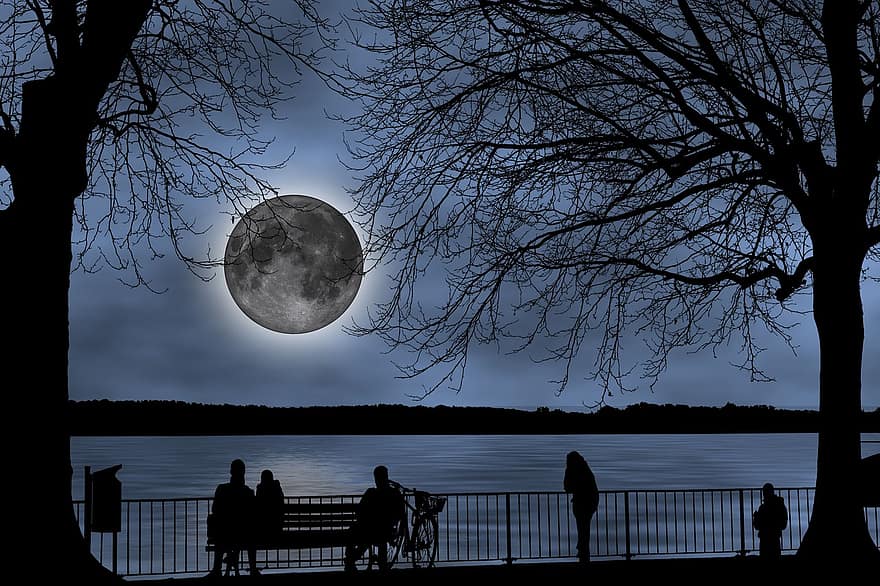 la luna, mirando a la luna, Luna llena, pacífico, ver, Contemplar la luna, naturaleza, escena, calma, silueta