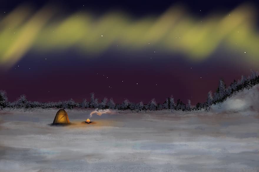 북극광, 극광, 텐트, 북쪽, 스칸디나비아 사람, 하늘, 밤, 별, 숲, 눈, 모험