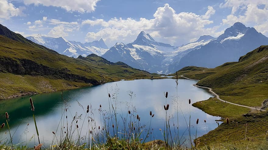 Schweiz, bernese oberland, Bachalpsee, grindelwald, Schreckhorn, bjerg, Alperne, vandring, sommer, panorama