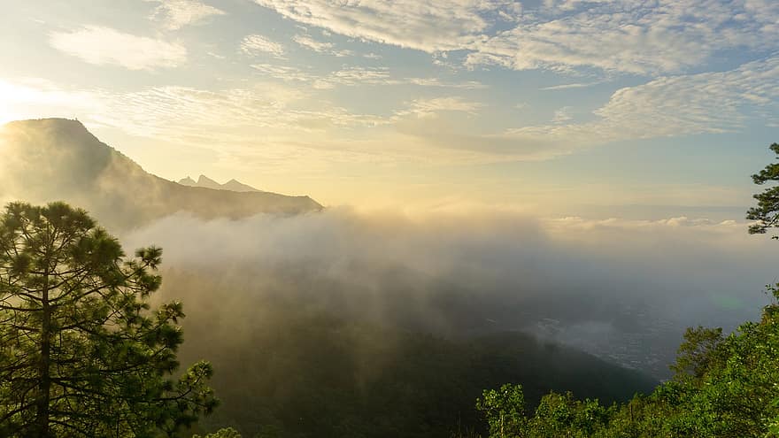 Cerro de Chipinque, Góra, chmury, mgła, drzewa, las, wschód słońca, niebo, Natura, krajobraz, szczyt górski