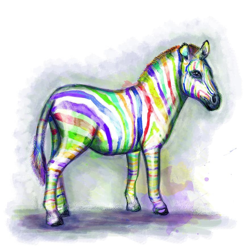 zirgs, kavalērija, ērzelis, zirgi, dzīvnieku, zebra, krāsains, krāsa, Miltikulti, zīmējums, izšuvumi