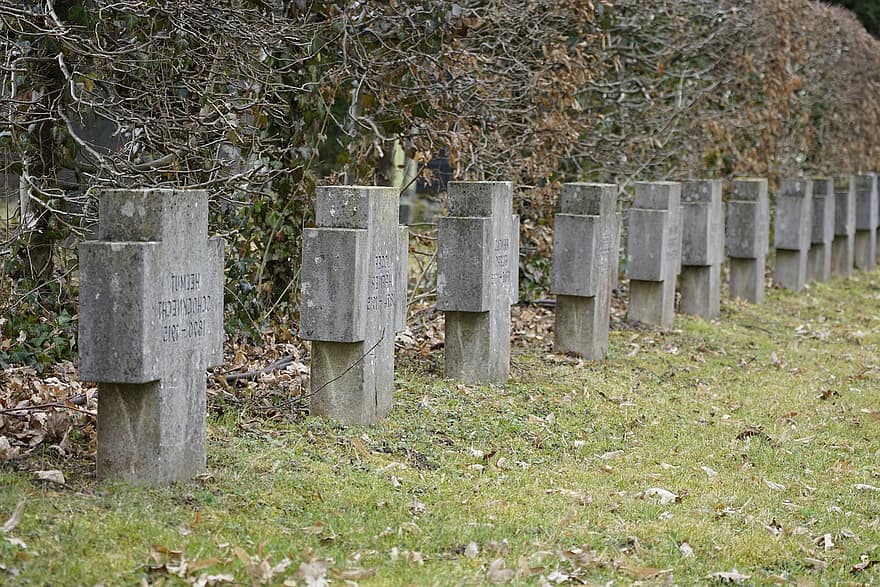 Graves, Graveyard, Cemetery, Soldier Graves, fence, grass, wood, tree, rural scene, tombstone, forest