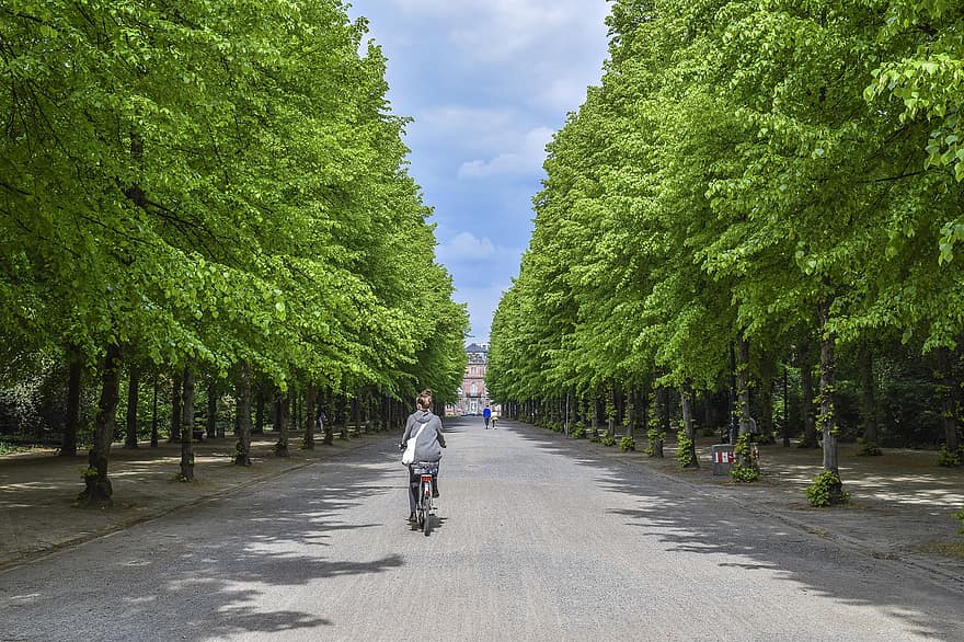 ถนน, ต้นไม้, ไป, ธรรมชาติ, ภูมิประเทศ, จอด, สีเขียว, ปราสาท, Düsseldorf, ฤดูร้อน