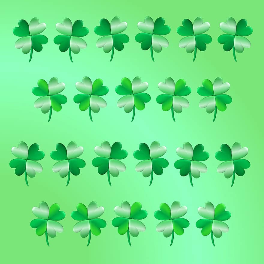 trifoi alb, bun, noroc, sfânt, lui patrick, zi, irlandez, Irlanda, patru, frunze, trifoi
