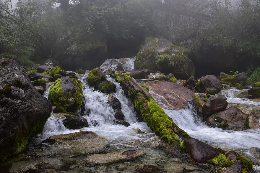 River, Rocks, Moss, Stream, Cascades, Water, Flow, Nature, Fog, Gorge, Forest