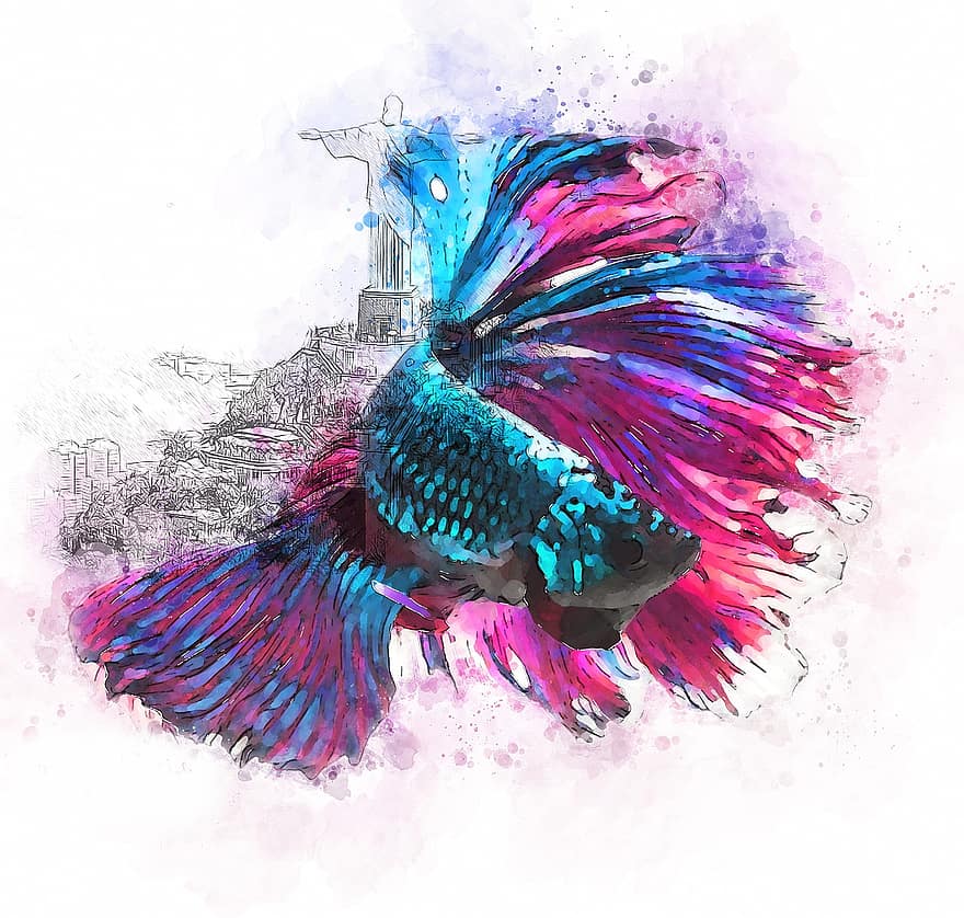 Rio de Janeiro, ryba, sztuka, ilustracja