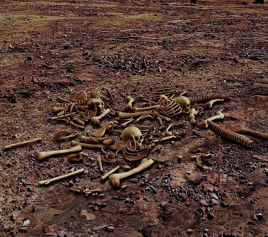 woestijn, schedel, bot, skelet, beenderen, schedel en gekruiste knekels, eng, griezelig, vreemd, grijs-gezegend, somber