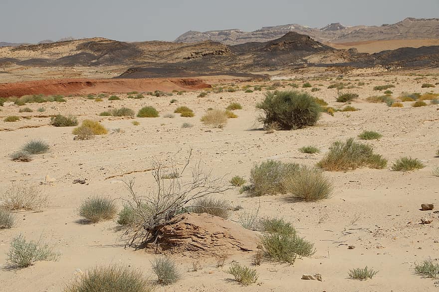 Desert, Mountains, Nature, Landscape, Grass, Arid, Dry