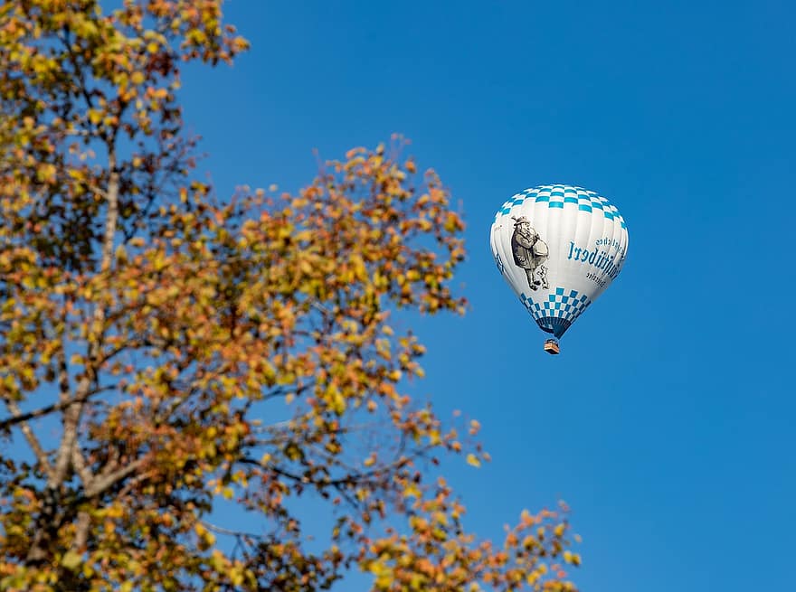 Heißluftballon, Reise, Abenteuer, Flugzeug, Linde, Natur, fallen