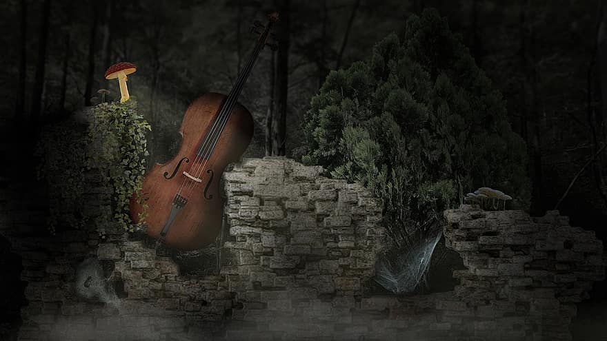 violoncel, ruine, pădure, noapte, perete, gard viu, instrument, instrument muzical, ciupercă, fundal