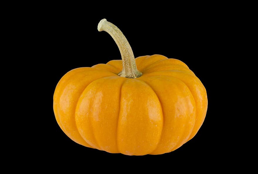 Pumpkin, Orange, Autumn, Halloween, Holiday, Fall, October, Decoration, Season, Thanksgiving, Halloween Pumpkin