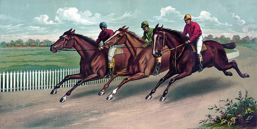 Horsem Koně, závodní kůň, dostihové koně, plnokrevník, závod, závody, umění, vinobraní, malování, žokej, žokeji