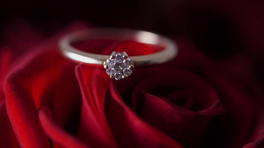 Diamant-Ring, Ring, Diamanten, Hochzeitsring, Verlobungsring, Gold, Schmuck, rote Rose, Liebe, Hochzeit, Vor