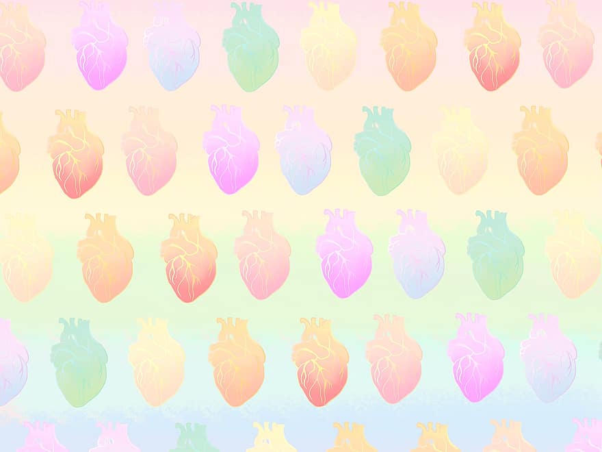 sebuah jantung, anatomi, Pelangi, lgbt, cinta, beraneka warna, tekstur latar belakang, pola, Desain, kesehatan, obat