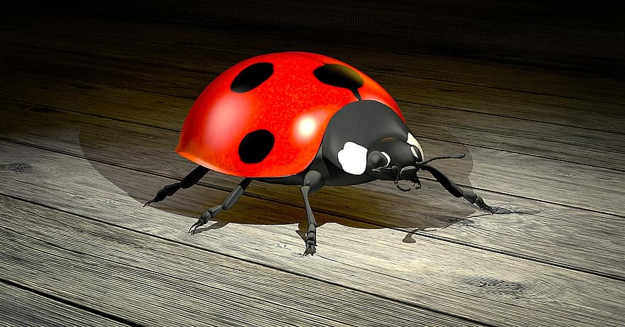 kepik, kumbang, pesona keberuntungan, alam, serangga, 3d, rendering, kemacetan, raydiosity, animasi, grafis