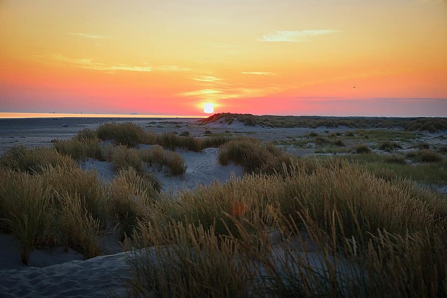 dune, erba, spiaggia, sabbia, mare, luce del sole, costa, cielo, natura, tramonto