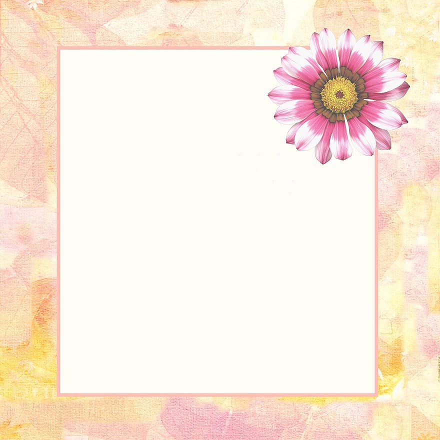 blomma, blommig, kronblad, klippbok, digital, anteckningsbok, sida, papper, mönster, vår, hälsning