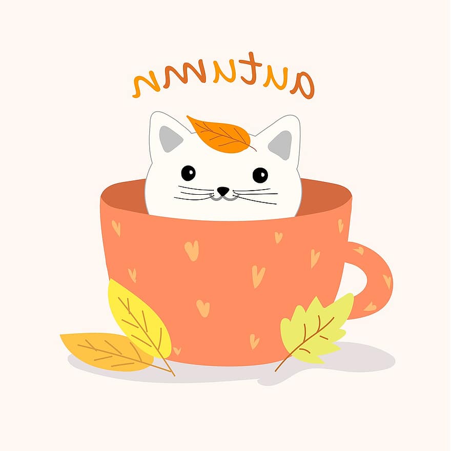 gato, vaso, otoño, hojas, café, té, jarra, gatito, mascota, animal, taza de cafe