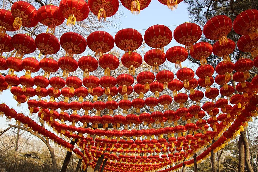 Chinese Lanterns, Hanging, New Year, Lanterns, Red Lanterns, Paper Lanterns, Winter, Decoration, Decor, Arrayed Lanterns, Hanging Lanterns