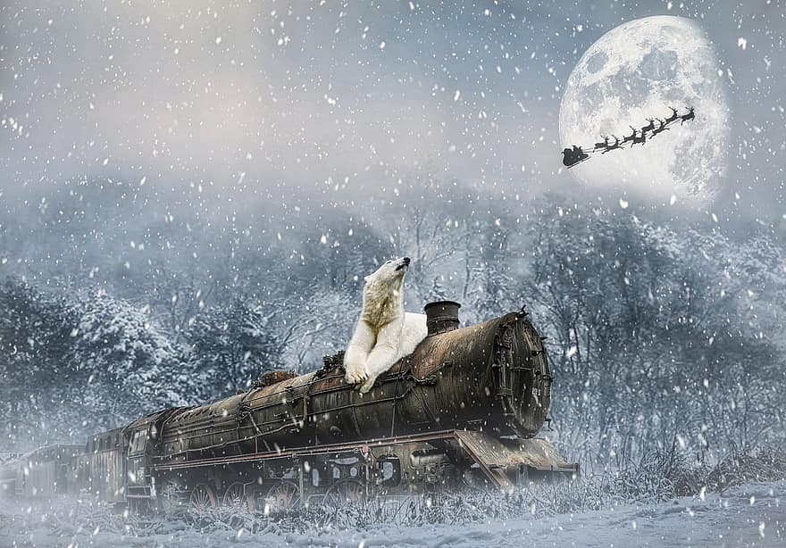 Bear, Polar Bear, White, Predator, Christmas, Christmas Train, Kerstachtergrond, Moon, Santa Claus, Reindeer, Digital Background