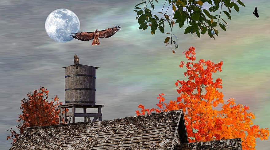 halcones, Granero viejo, noche, otoño, aves de presa, colores de otoño, Torre de agua, Luna, rapaces, depredadores, fauna silvestre