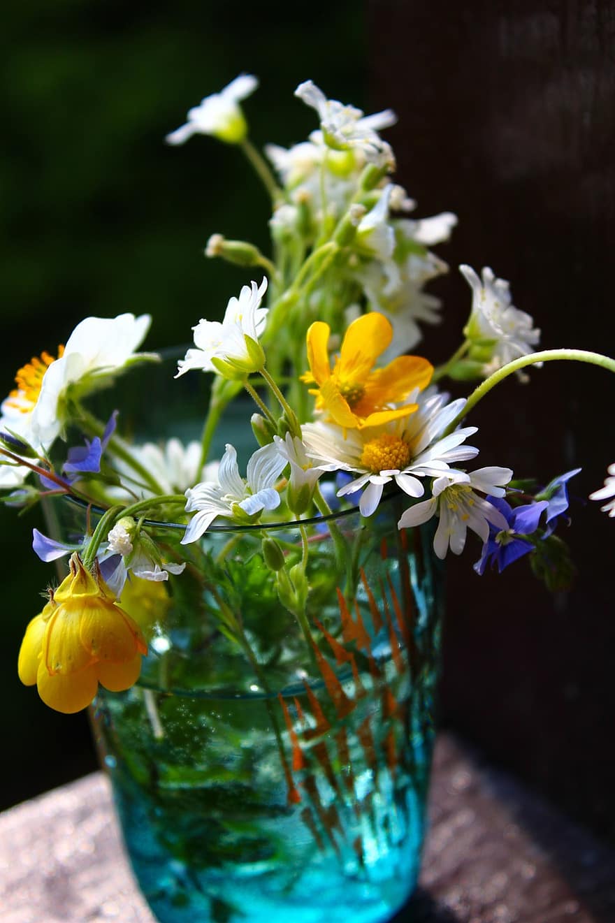 цветы, букет, ваза, маргаритка