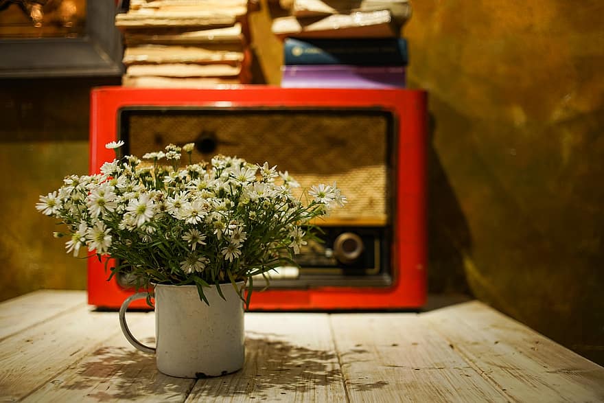 Tusenfryd, blomster, kafe, dekorasjon, blomstervase, bord