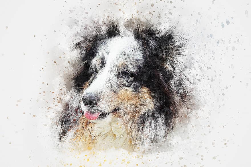 anjing, Shetland, membelai, seni, abstrak, cat air, vintage, penuh warna, hewan, anak anjing, kaos