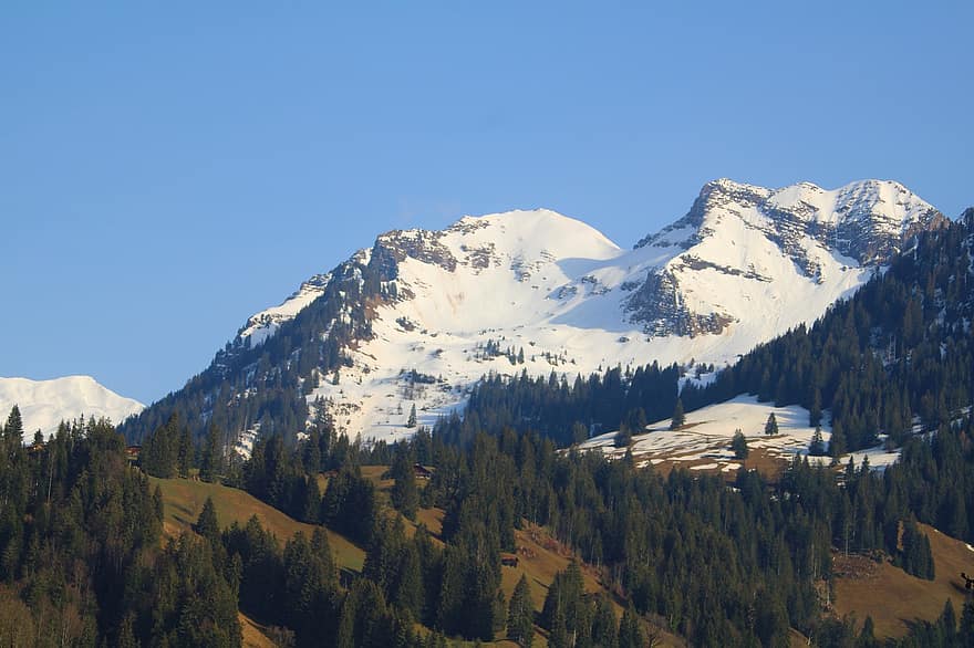 kalni, alpi, Šveice, kalnu ainava, saanen, gstaad, Bernes augstiene, koki, sniegs, raksturs, kalns