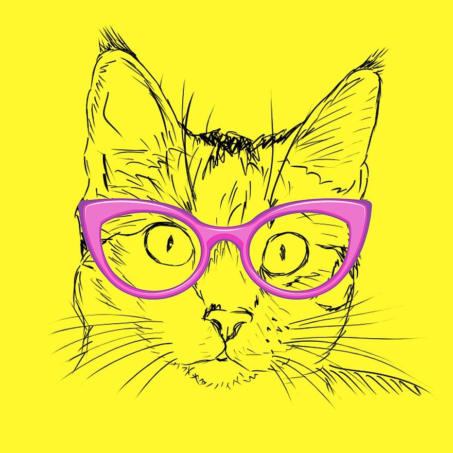 geel, kat, roze, bril, gele kat, geel glas