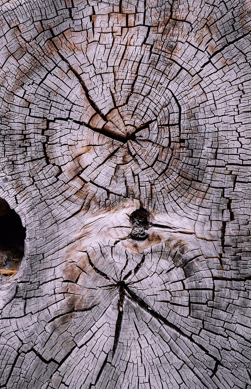drewno, drzewo, pierścienie roczne, pnia drzewa, tekstura, szablon, tła, stary, wzór, abstrakcyjny, szorstki