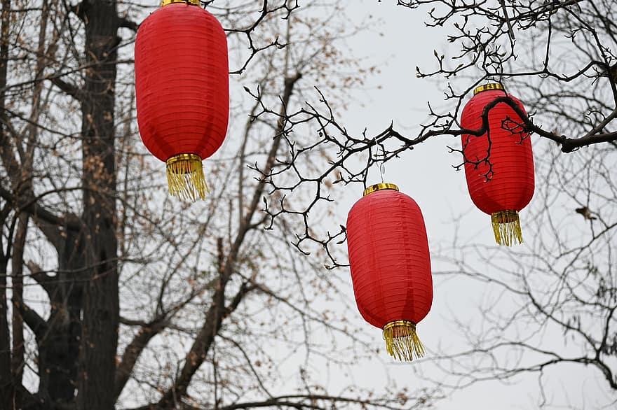 lanterna, Festival, decorazione, arte, celebrazione, cultura cinese, culture, lanterna cinese, festival tradizionale, sospeso, chinatown