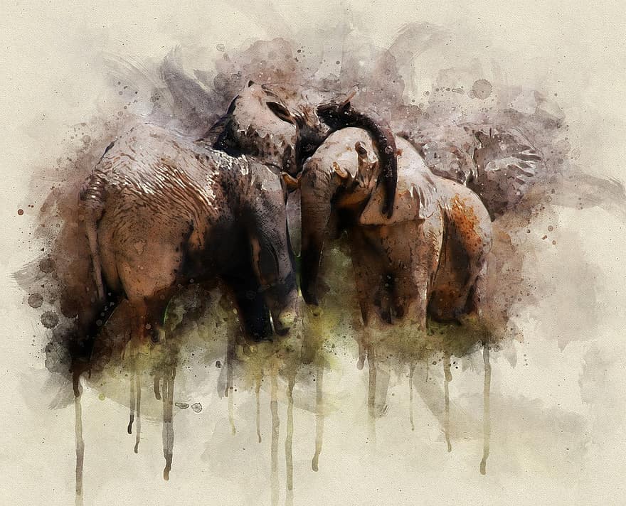 elefante, pittura, natura, Africa, acquerello, Pittura marrone
