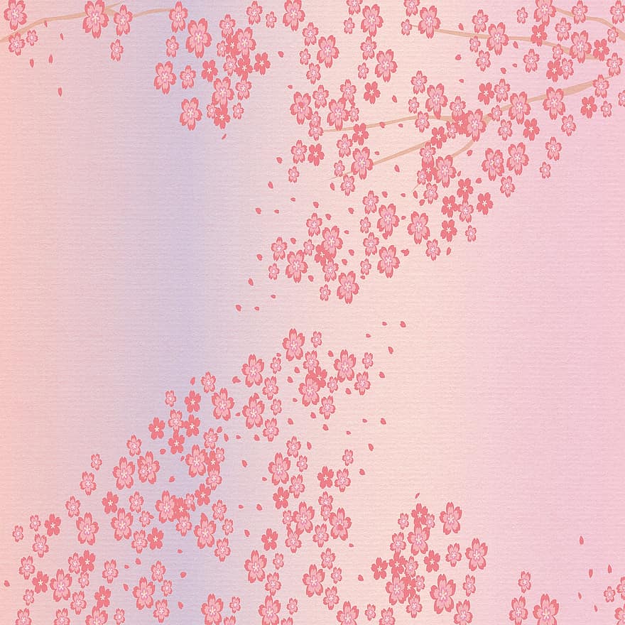 ساكورا الخلفية ، ورق رقمي ، اليابانية ، أزهار الكرز ، ساكورا ، نمط ، قماش ، ديكور ، التصميم ، اليابان ، صينى