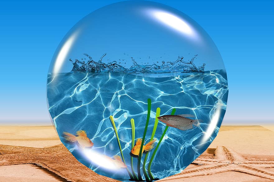 bola, vidro, agua, céu, reflexão, peixe, de praia, Férias, atmosfera, humor