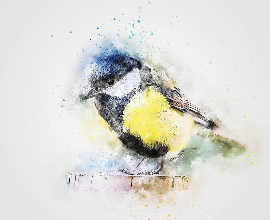 Bird, Color Feathers, Chickadee, Art, Abstract, Watercolor, Animal, Vintage, Spring, Nature, Artistic
