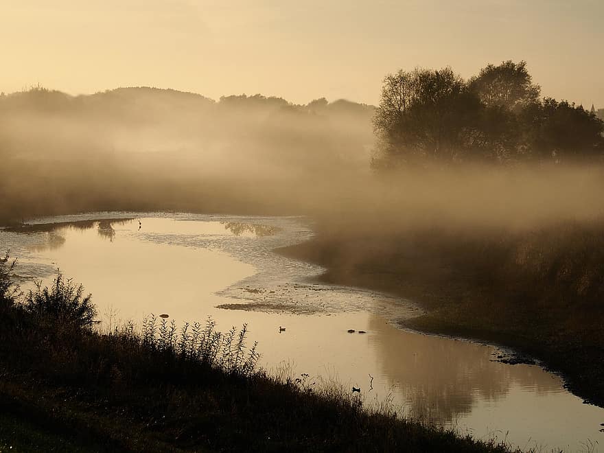 řeka, Nizozemí, ochtendstemming, mlha, světlo, slunce