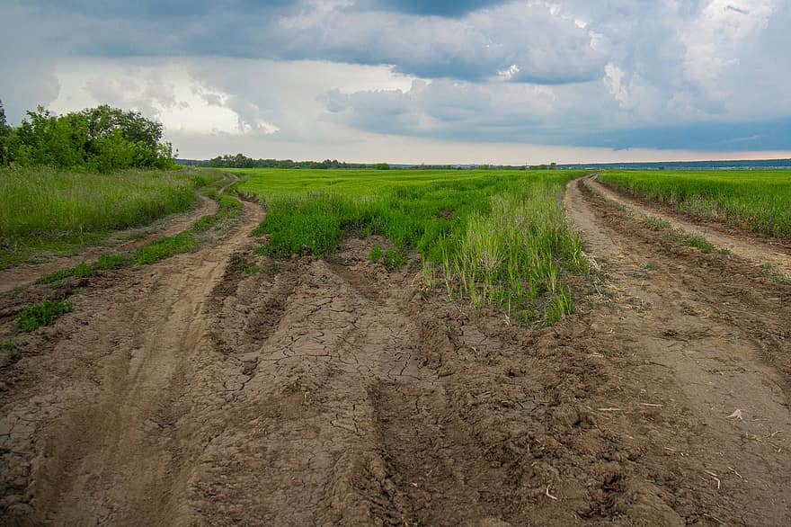 Landscape, Field, Nature, Sky, Greens, Beautiful, Russia, Agriculture, Road, Two Roads, Trail