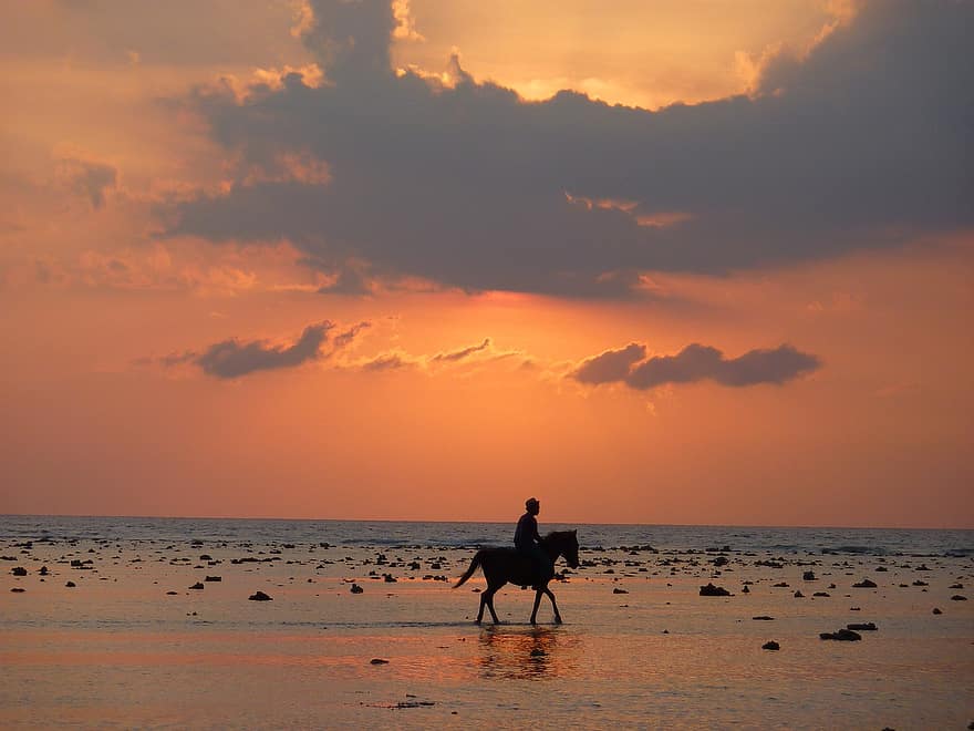 montar a caballo, playa, puesta de sol, caballo, hombre, paseo, animal, equitación, costa, Oceano, silueta