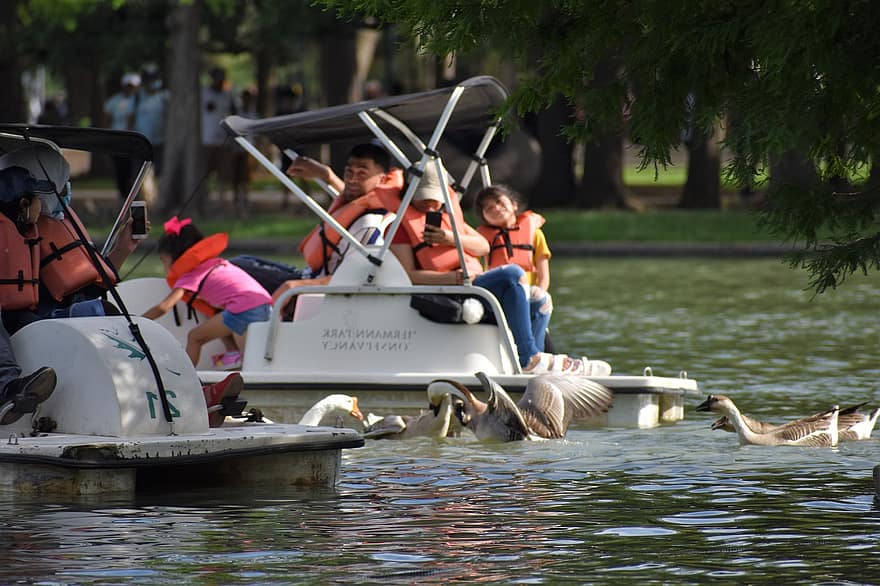 βάρκα με κουπιά, οικογένεια, λίμνη, ποτάμι, ο ΤΟΥΡΙΣΜΟΣ, Εθνικό Πάρκο Χέρμαν 2021, παιδιά, γονείς, γονέων, πάπιες, χήνα