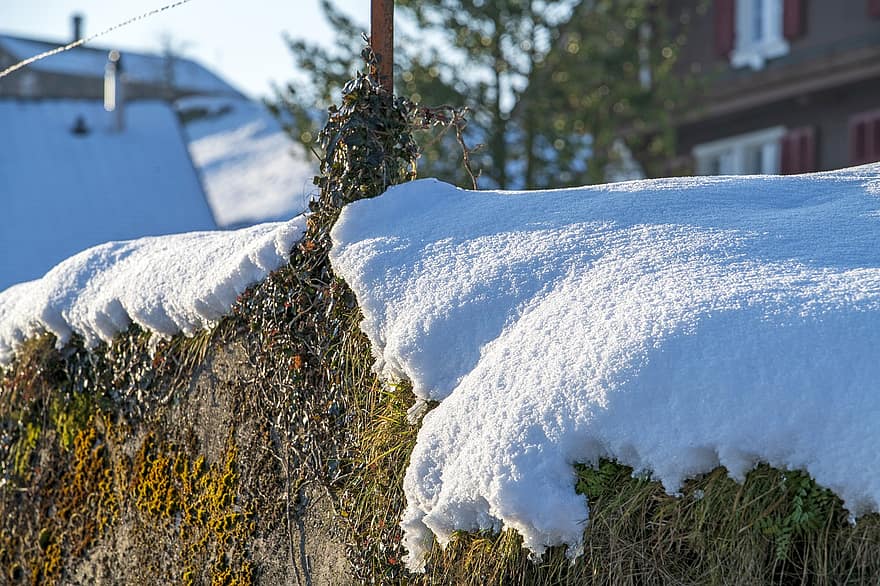 væg, sne, vinter, snedrive, kold, frost, Morschach, Schweiz, landskab, sæson, is