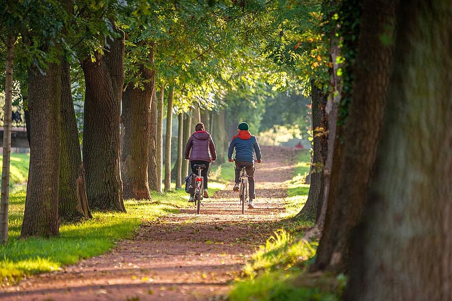 Nature, Forest, Trees, Way, Travel, Couple, Love, Romance, men, cycling, bicycle