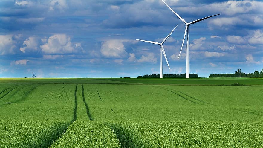 風、エコロジー、環境、緑、エネルギー、自然、風景、小麦、フィールド、農業、田舎