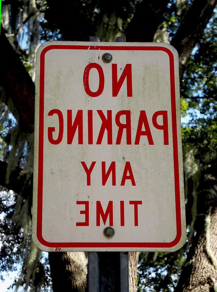 stationnement interdit, signe, trafic, panneau de signalisation, information, panneau d'avertissement, danger, sécurité, arbre, interdit, symbole