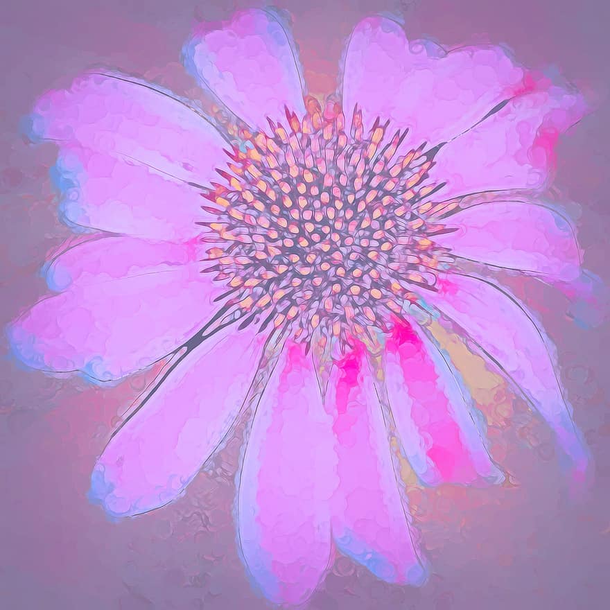 echinacea, květ, růžový, kuželový květ, pastel