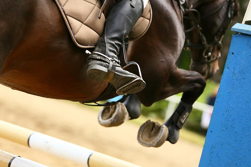 häst, ridning, parkour, hoppa, hinder, ryttare, sport, hingst, sadel, konkurrens, mänskligt ben