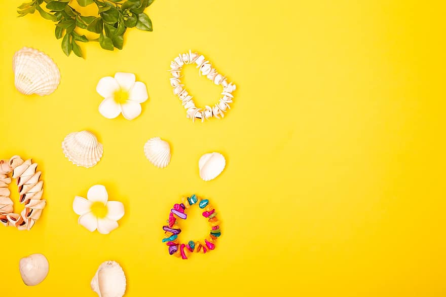 Summer Background, Background, Seashells, Flowers, Nature, Accesories, Leaves, Flat Lay