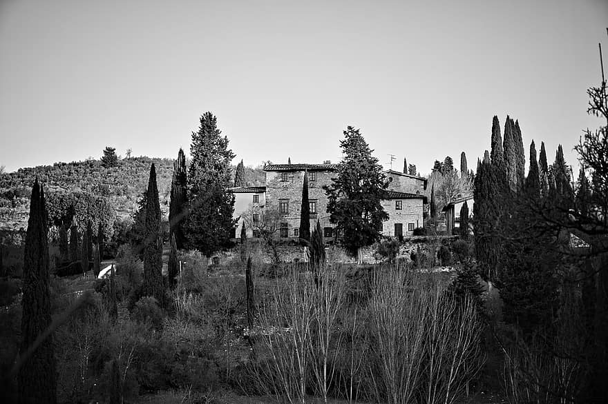 Villa, Estate, Trees, House, Cypress Trees, Olive Trees, Hills, Rural, Countryside, Florence, Tuscany
